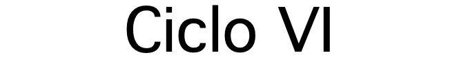 Ciclo VI